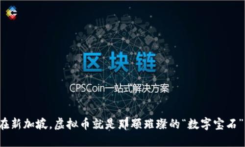 在新加坡，虚拟币就是那颗璀璨的“数字宝石”！