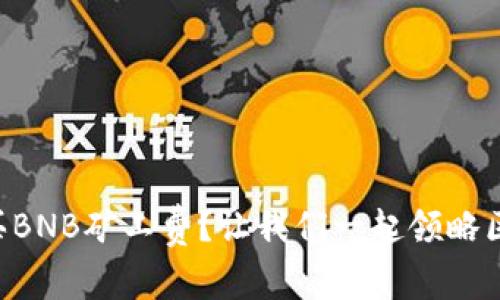 如何在TP钱包上购买BNB矿工费？让我们一起领略区块链的“购物乐趣”！