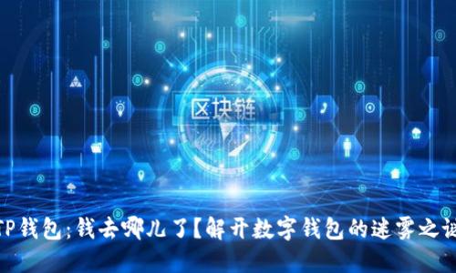 TP钱包：钱去哪儿了？解开数字钱包的迷雾之谜