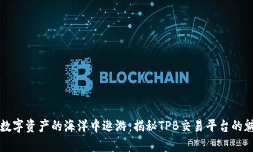 在数字资产的海洋中遨游：揭秘TPB交易平台的魅力