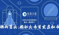 如同点燃的篝火：揭秘火