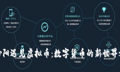 在沁阳遇见虚拟币：数字货币的新世界之旅