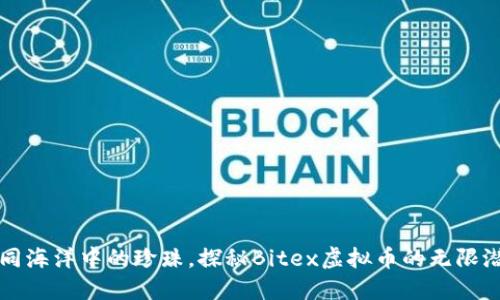 如同海洋中的珍珠，探秘Bitex虚拟币的无限潜能