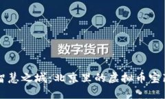 智慧之城：北京里的虚拟