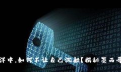 在数字货币的海洋中，如