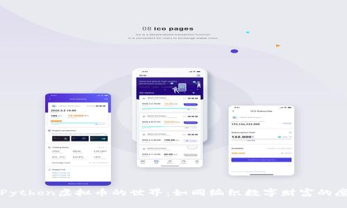 探索Python虚拟币的世界：如同编织数字财富的魔法网