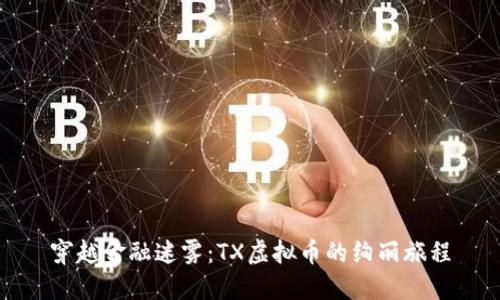 穿越金融迷雾：TX虚拟币的绚丽旅程