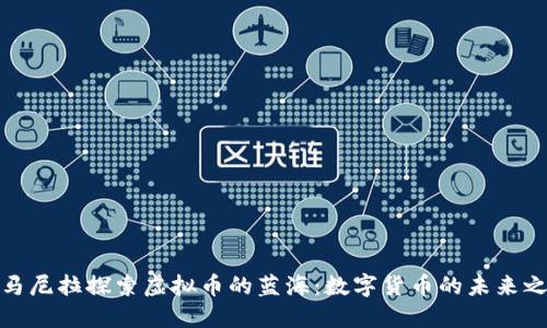 在马尼拉探索虚拟币的蓝海：数字货币的未来之旅