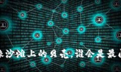虚拟币投资：像沙滩上的