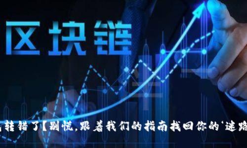 “TP钱包转错了？别慌，跟着我们的指南找回你的‘迷路资金’！”