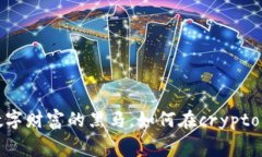 黑石虚拟币：数字财富的