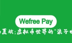 乐山夏斌：虚拟币世界的