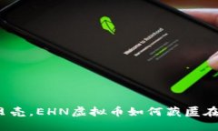 像沙滩上的贝壳，EHN虚拟